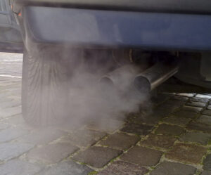 EV Council slams ACCC boss for “outdated” views on electric vehicles