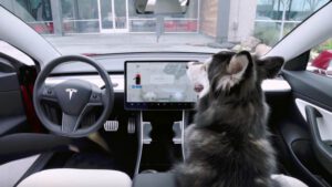 More passenger safety features to come to Tesla models