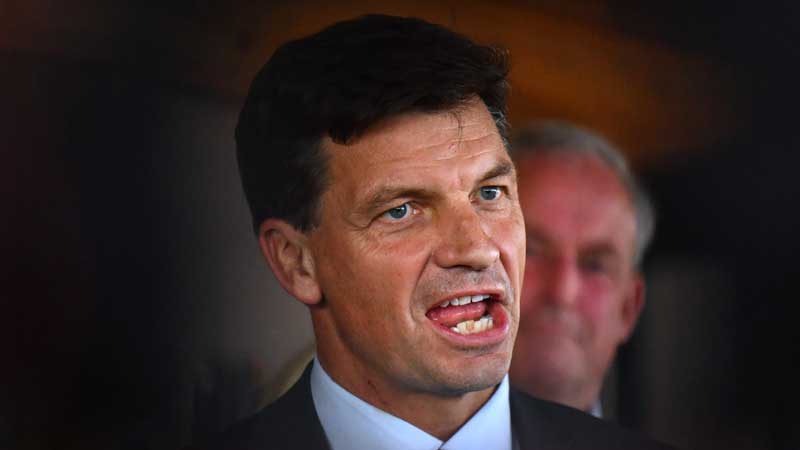 Angus Taylor