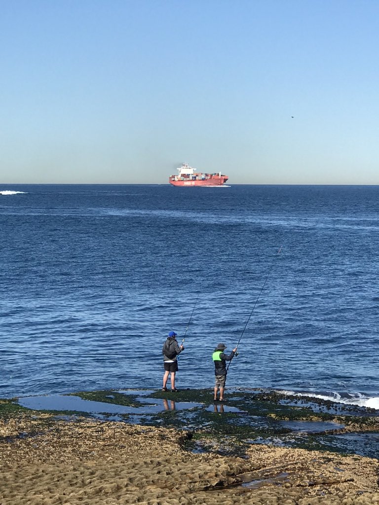 The Cap Capricorn arrives in Port Botany