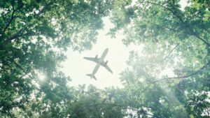 Can we travel the world without destroying it?