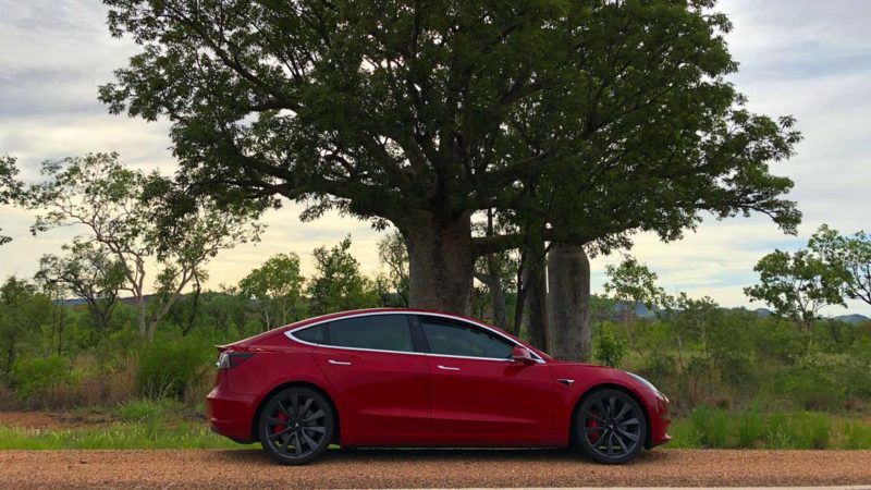 Model 3 and some boabs. 