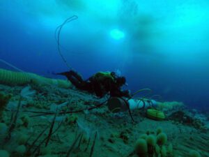 Researchers look to ocean floor for “sustainable” EV battery materials