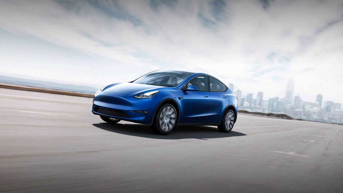 Tasmanian tesla online model y