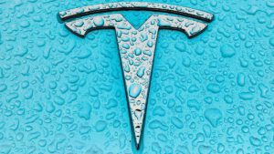 Tesla shares leap on news it will join prestigious S&P 500 index