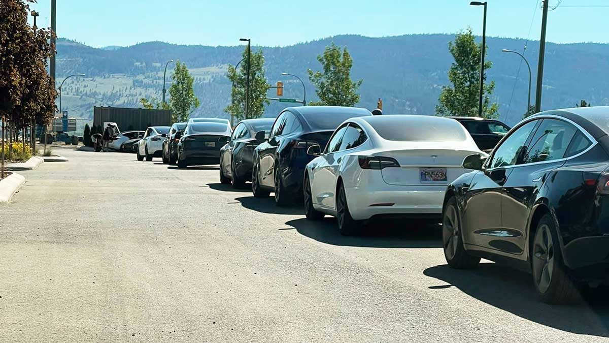 electric cars waiting to charge