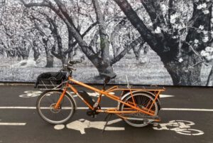 Electric cargo bikes: The overlooked EVs operating in a lycra-free zone