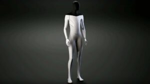 Teslabot: Tesla’s stunning decision to make its own robot, to get the groceries