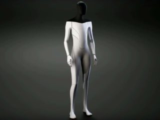 teslabot