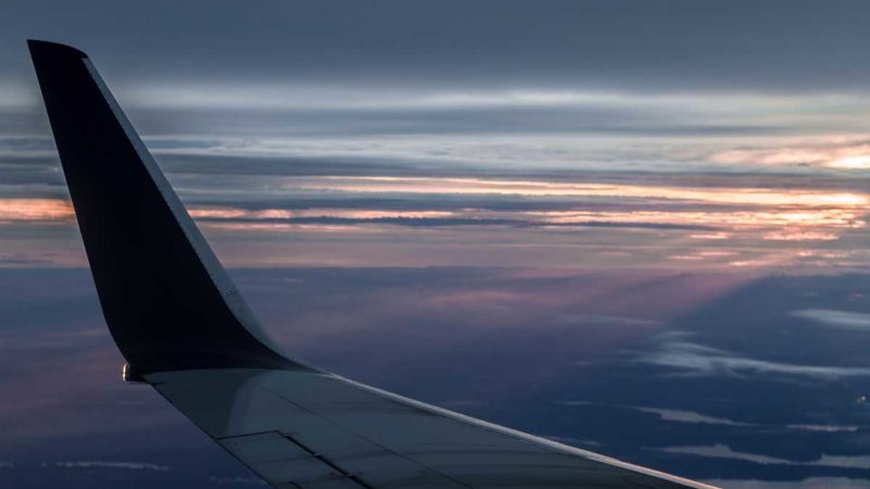 plane wing