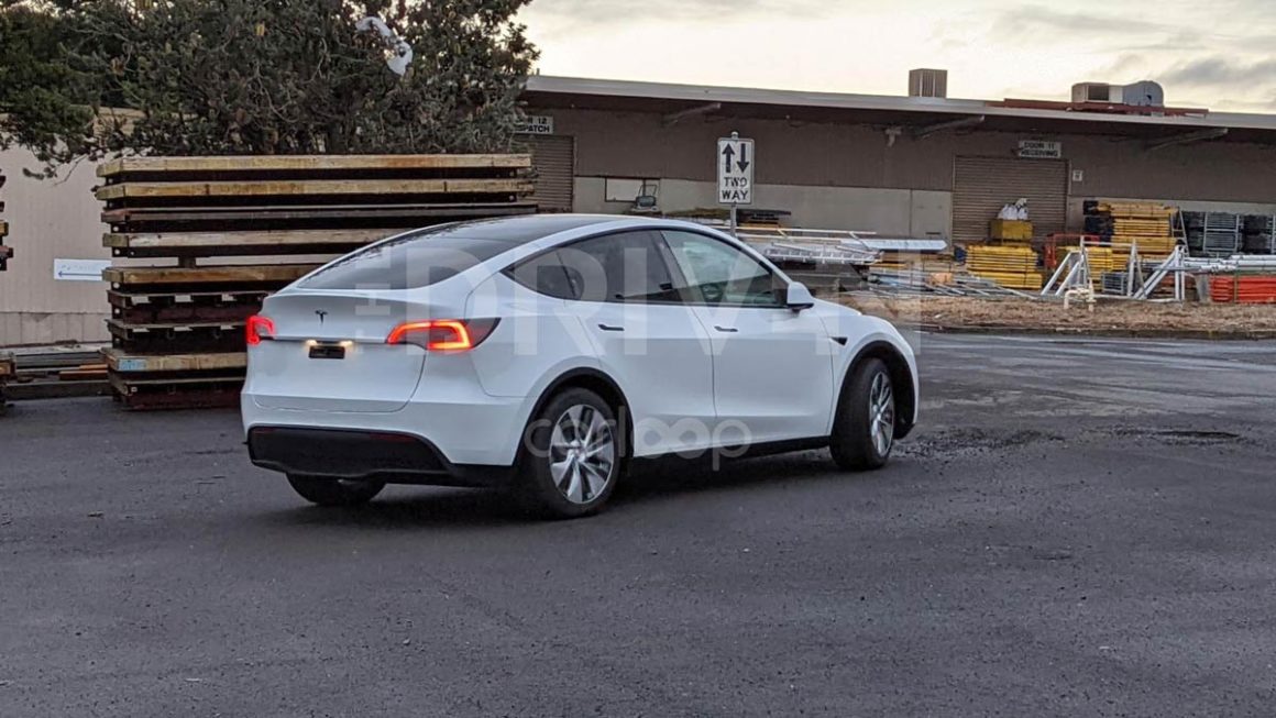 Tesla Model Y in Melbourne: Image: Riz Akhtar