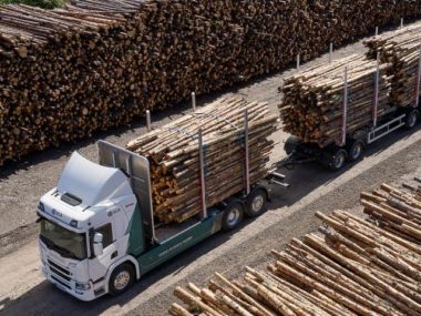 electric timber truck