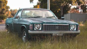 Football, meat pies, efficiency standards and electric utes: Can we have it all?