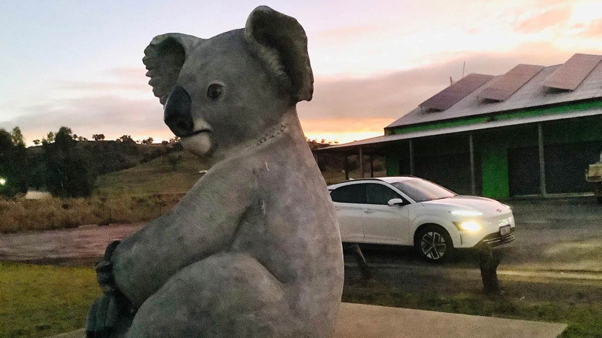 The Giant Koala, Gundagai. Image: Hurry Krishna