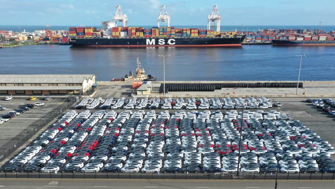 Model 3s lined up at dock. Image: Harald Murphy