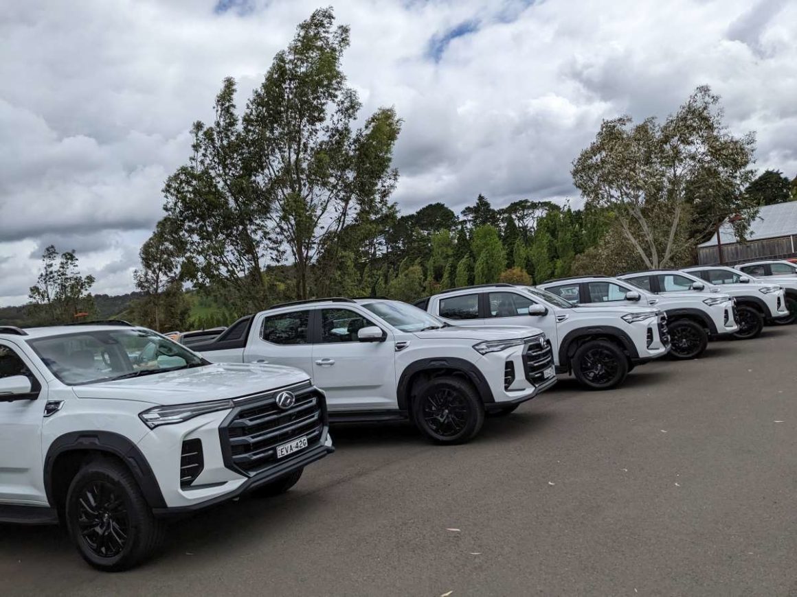 LDV Utes Lined Up