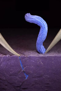 Cracks and fissures: Stanford scientists discover why lithium batteries fail