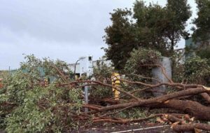 The Tritium legacy: Councils give up on broken EV chargers, and one gets wiped out by a tree