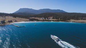 Tasmania hails “eco-friendly” ferry that will run on fuel produced from burning wood chips