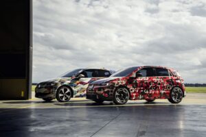 Volkswagen prepares launch for electric ID. Polo, with four power levels